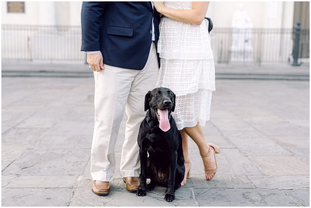 Engagement Pictures with dog